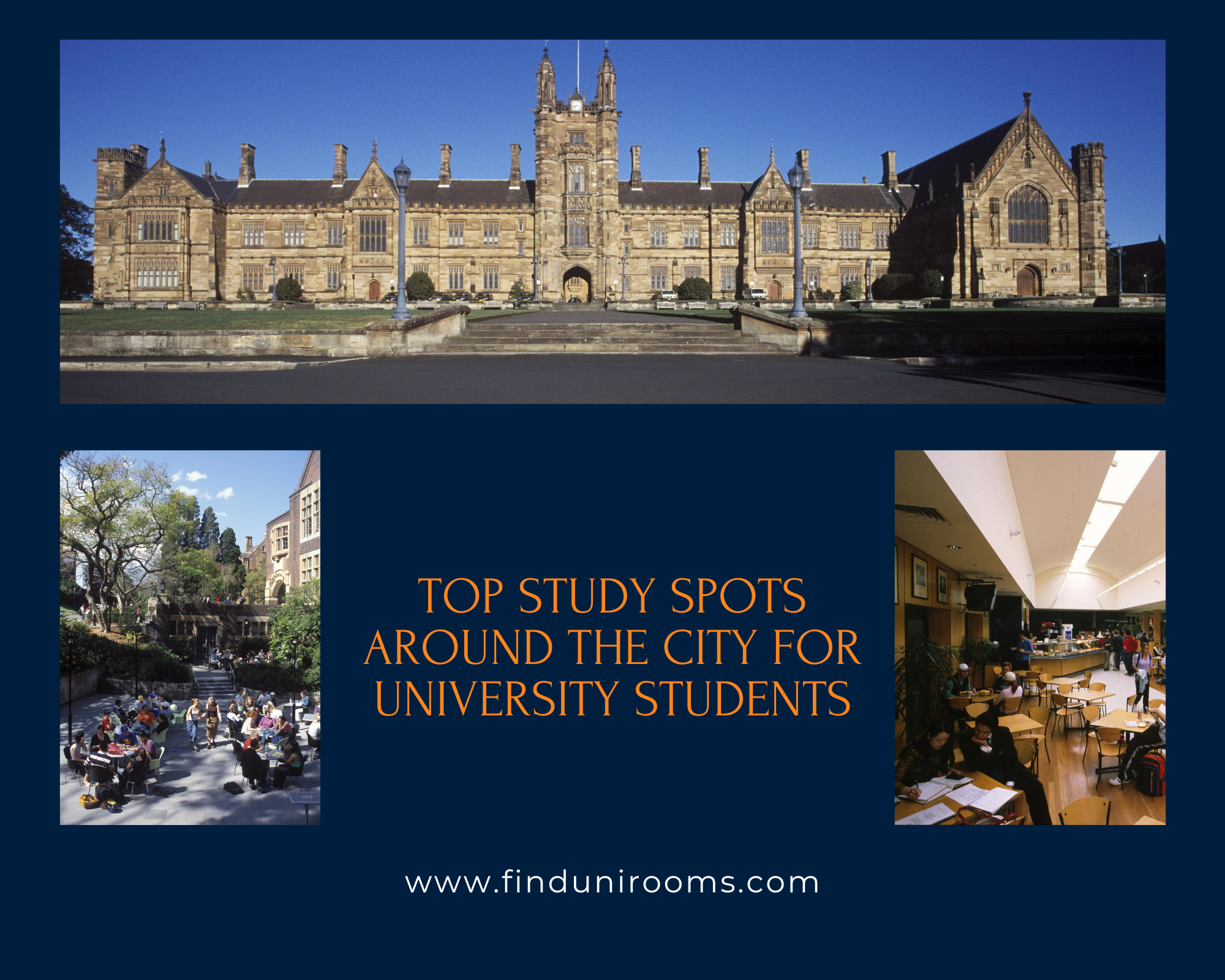 Top Study Spots Around The City
