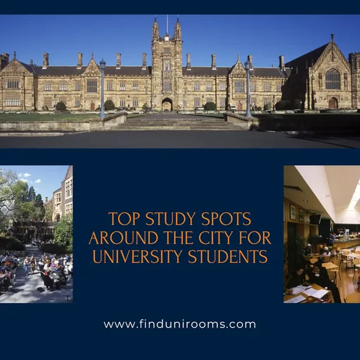 Top Study Spots Around The City