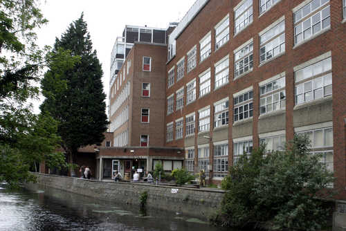 Kingston University ( Knight's Park )